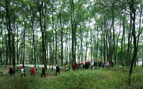 重慶拓展培訓(xùn)的四個(gè)環(huán)節(jié)是什么？你知道嗎？